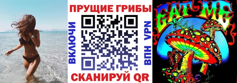Галлюциногенные грибы Psilocybine cubensis Алейск