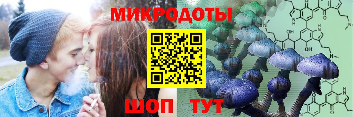Галлюциногенные грибы Psilocybe  купить   Алейск  Вход с VPN 